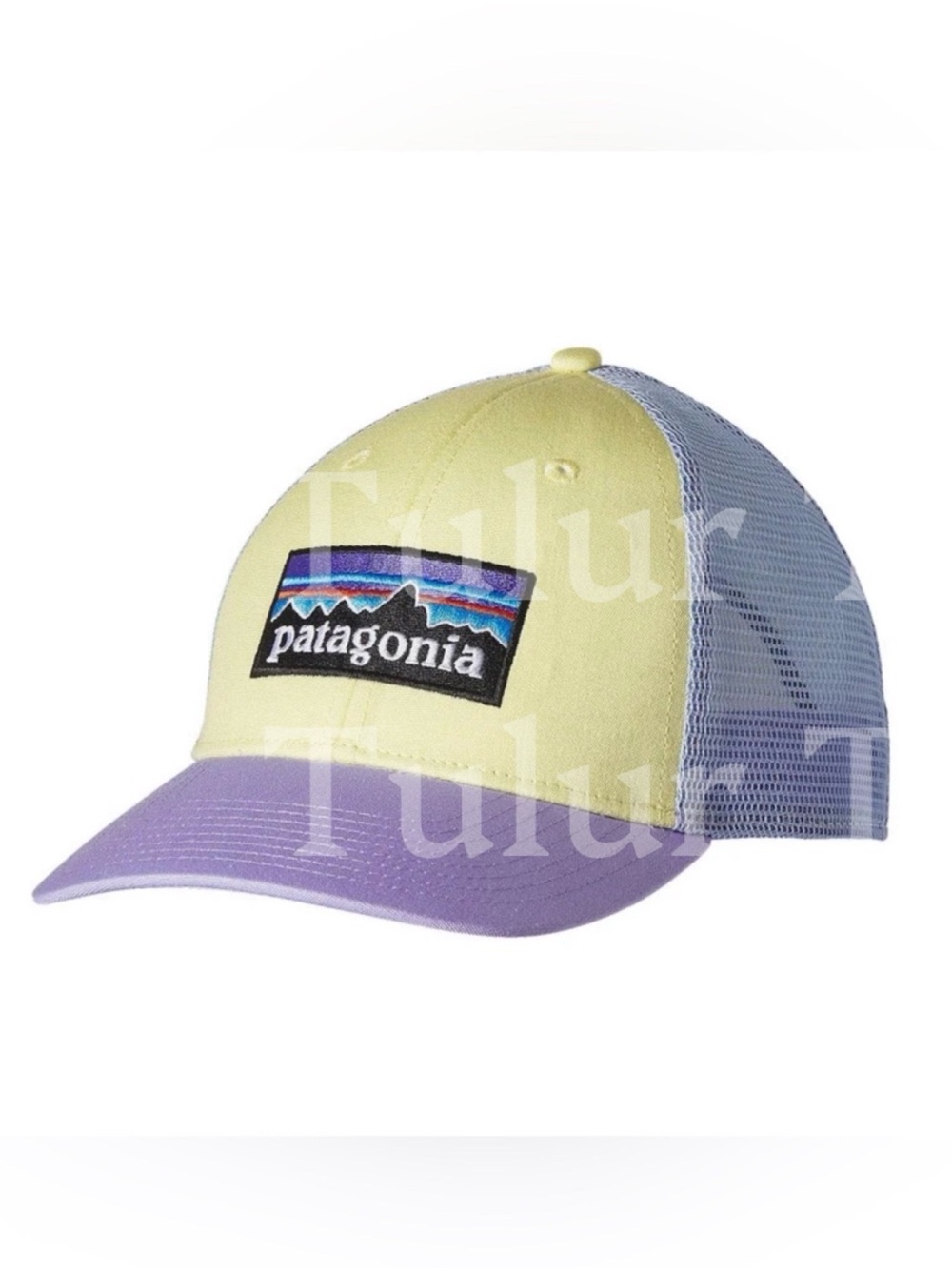 Patagonia P-6 Logo LoPro Trucker Hat